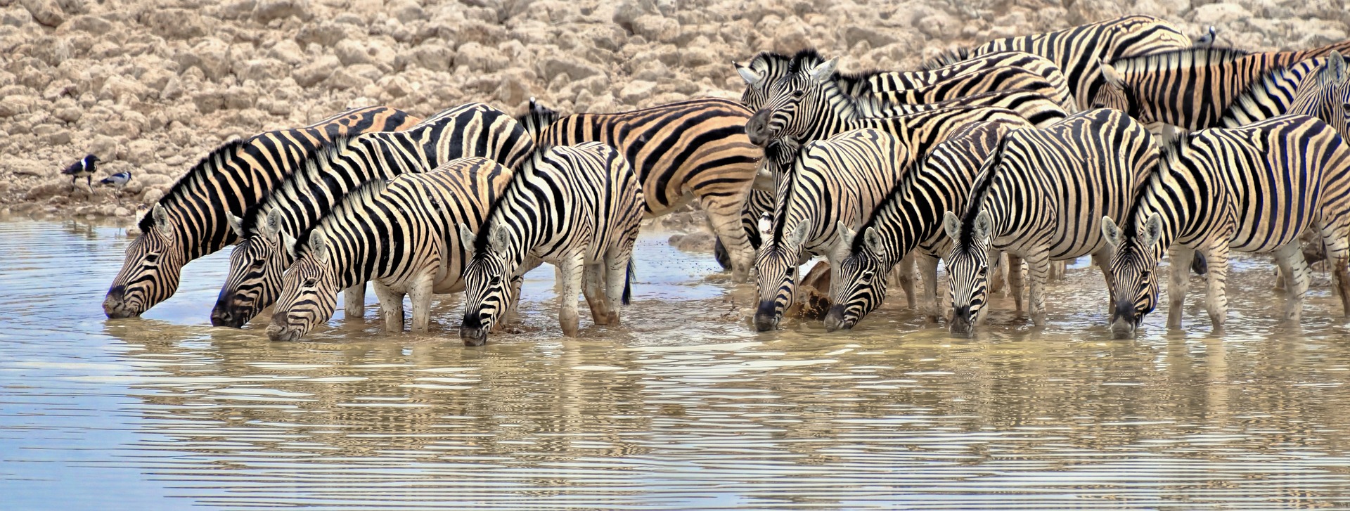 Source photo van JPierre Desvigne via Pixabay